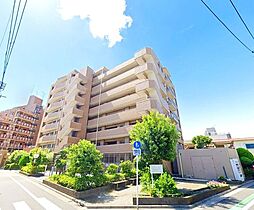 セザールお花茶屋