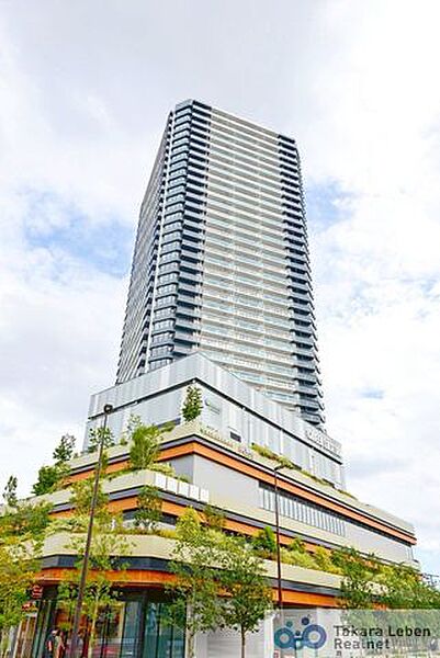 外観：313004725647