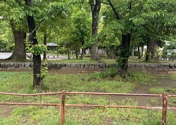 新松戸中央公園 徒歩10分。 730m
