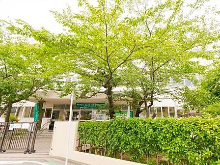 葛飾区立宝木塚小学校 徒歩3分。 220m