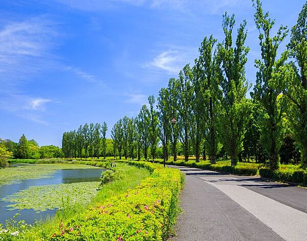 都立水元公園 徒歩5分。 340m