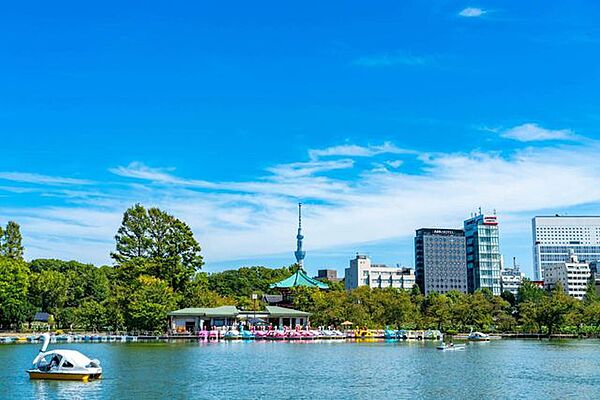 東京都上野恩賜公園 徒歩14分。 1060m
