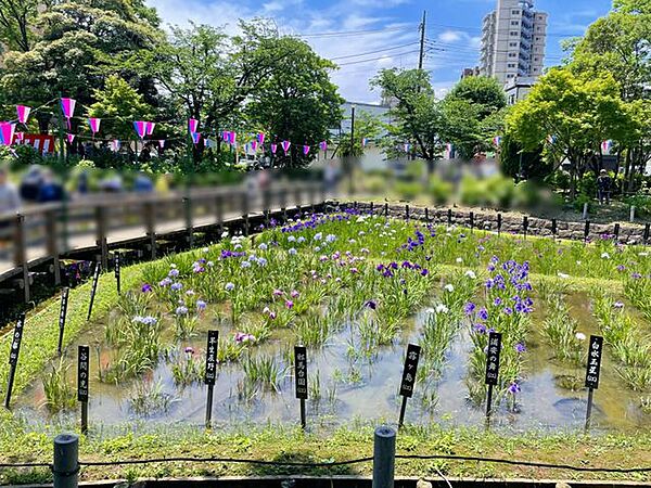 しょうぶ沼公園 徒歩21分。 1610m