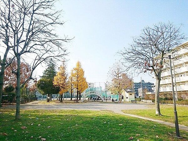 周辺を拡大表示