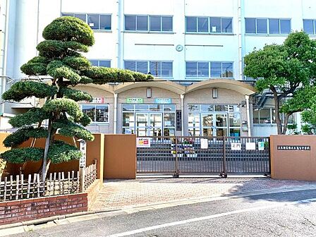 葛飾区立亀有中学校 徒歩6分。 440m