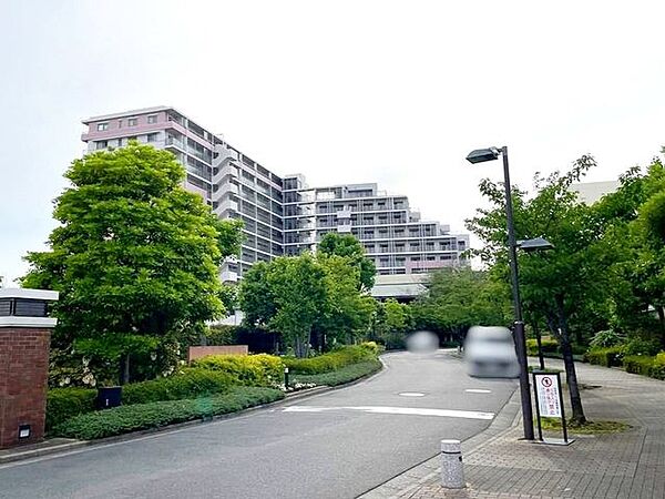 外観：313004901438