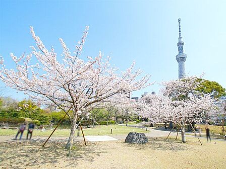墨田区立隅田公園 徒歩9分。徒歩14分。 710m