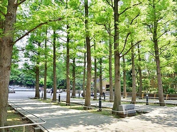 東池袋中央公園 徒歩5分。 400m