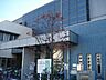 周辺：足立区立花畑図書館 徒歩19分。 1450m