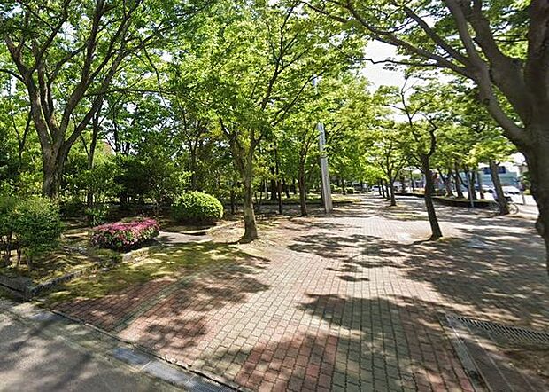 駅前中央公園 徒歩8分。 650m