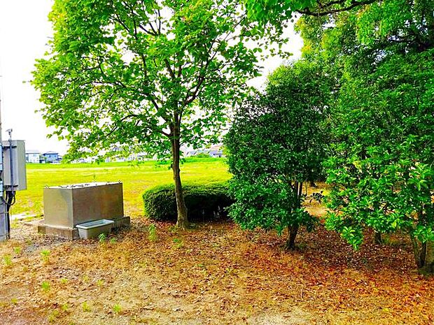 粟島公園 徒歩14分。 1070m