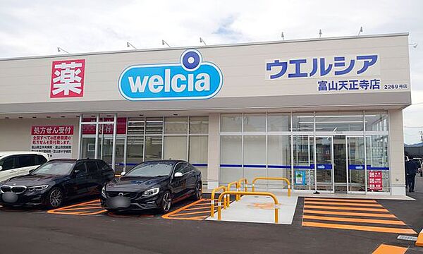 ウエルシア富山天正寺店 徒歩12分。 910m