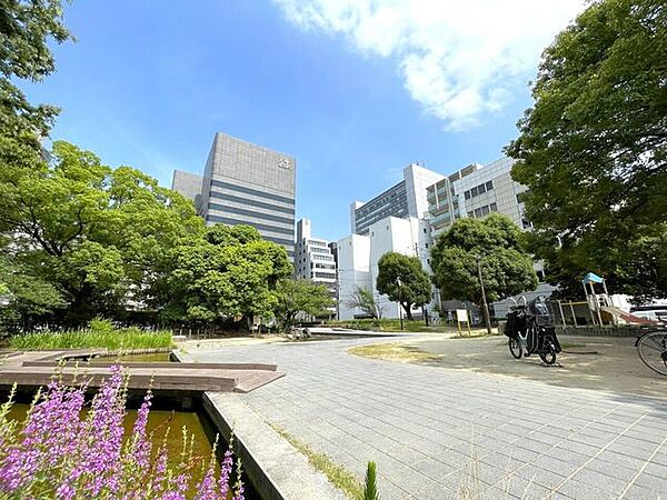 豊津公園 580m