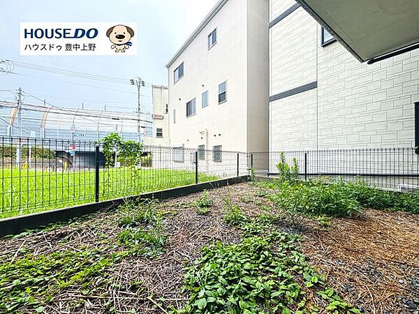 庭