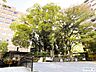周辺：北大阪急行　緑地公園駅西口 440m