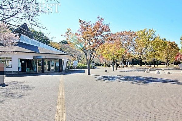西東京いこいの森公園 徒歩7分。公園内では散策だけでなく遊具広場やバーベキューコーナーなどもあり、文字通り市民の憩いの場所となっております。 560m