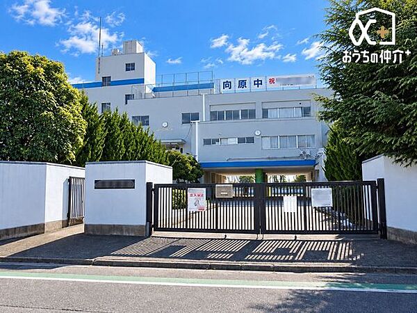 徒歩14分。【入間市立向原中学校】営業時間 8時15分～17時15分(土・日曜日　定休日) 1050m