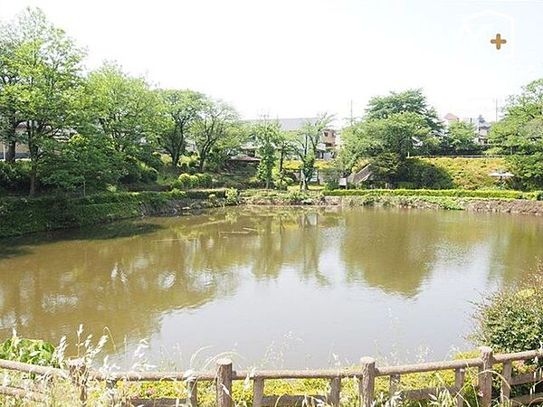 八津池公園 徒歩17分。 1300m
