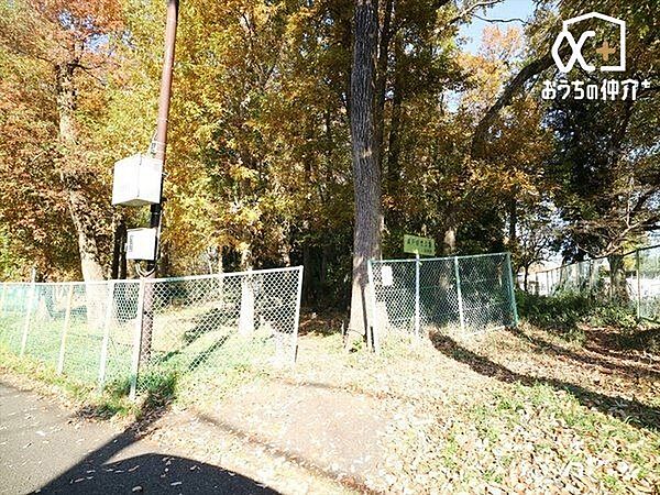 清戸自然公園 徒歩5分。清瀬市下清戸1丁目「グリーンタウン清戸」交差点付近の自然公園。春は新緑、夏は涼しく、秋から冬にかけては紅葉も楽しめます。 370m