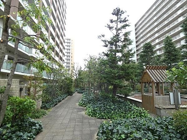 緑に囲まれたアプローチ
