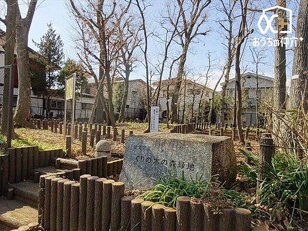 くりの木の森緑地 徒歩3分。ケヤキやコナラ、キンモクセイなどの林にムクドリやシジュウカラといった野鳥も遊びに来ます 200m