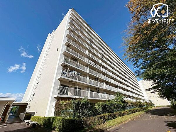 外観：311002245808