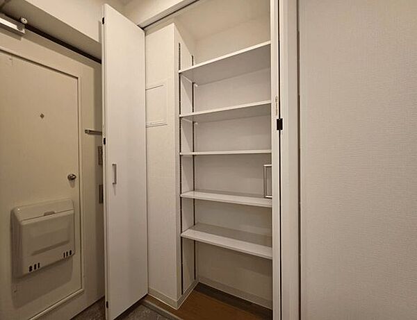 可動棚付きの玄関収納を確保。家族分の靴や外出用品も整理しやすく、玄関まわりをすっきり保てます。