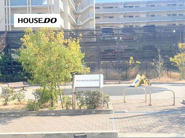 周辺を拡大表示