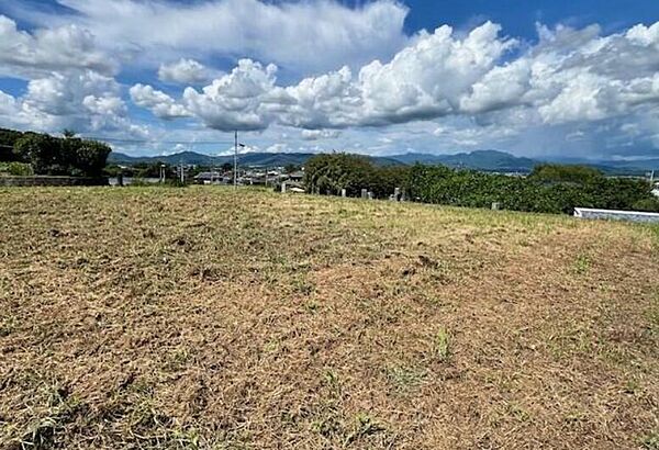 外観：343000089372