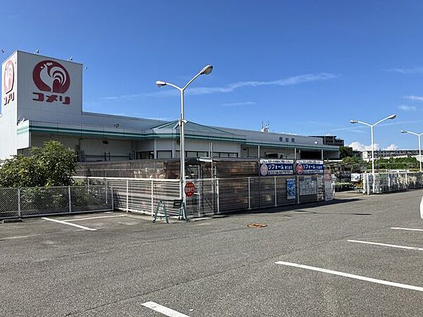 コメリハード＆グリーン泉南信達店 970m