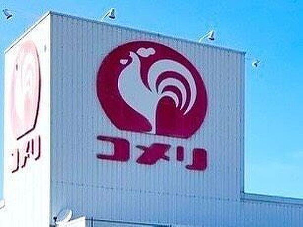コメリハード＆グリーン阪南箱の浦店 510m