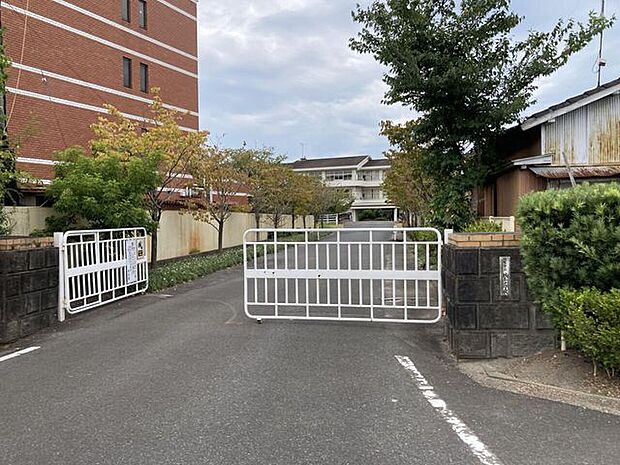 佐賀市立城東中学校 810m