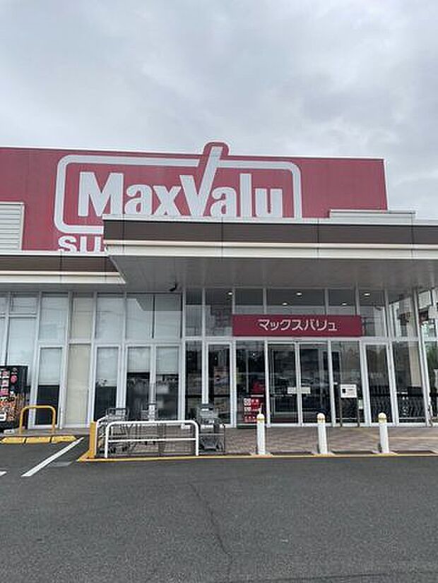 マックスバリュ巨勢店 620m