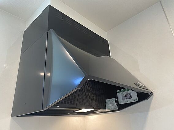 レミリア_その他_2