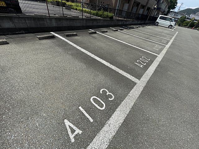 11 / 12