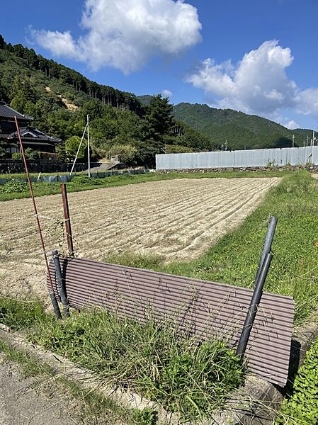 外観：328000401668