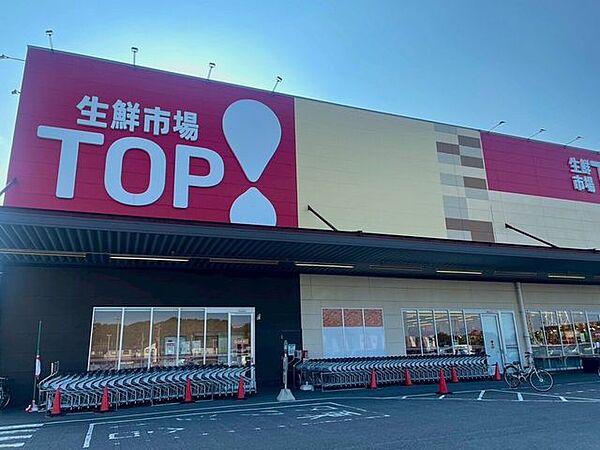 生鮮市場TOP 岩槻府内店 1250m