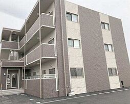 ウイング　コート