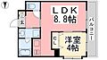フェニックス西堀端8階5.1万円