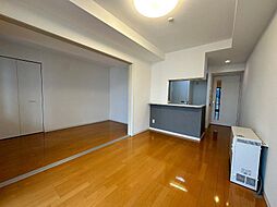 札幌市営南北線 中島公園駅 徒歩4分の賃貸マンション 21階1LDKのリビング/ダイニング