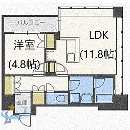 ラフィネタワー札幌南3条 1LDKの間取図画像