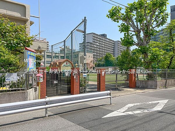 小学校 450m 足立区立千寿第八小学校