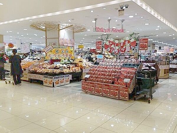 ショッピングセンター 500m 東急ストア二子玉川ライズ店