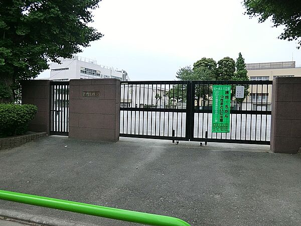 小学校 50m 板橋区立志村第一小学校