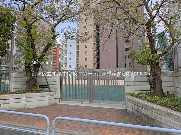 中学校 1060m 台東区立柏葉中学校