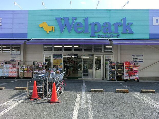 ドラッグストア 300m ウェルパーク新座石神店