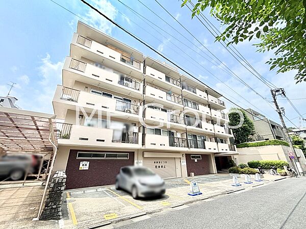 外観：313004787677