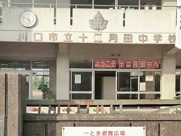 中学校 637m 川口市立十二月田中学校