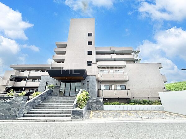 外観：311002432939