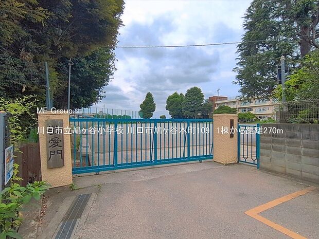 小学校 270m 川口市立鳩ヶ谷小学校